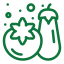 بذر صیفی‌جات