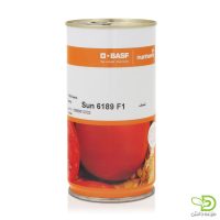 بذر گوجه سانسید 6189 (Sun 6189) نانهمز