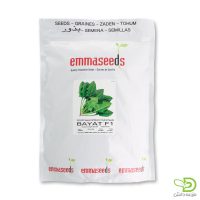 بذر اسفناج بیات