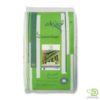 بذر باقلا هستی